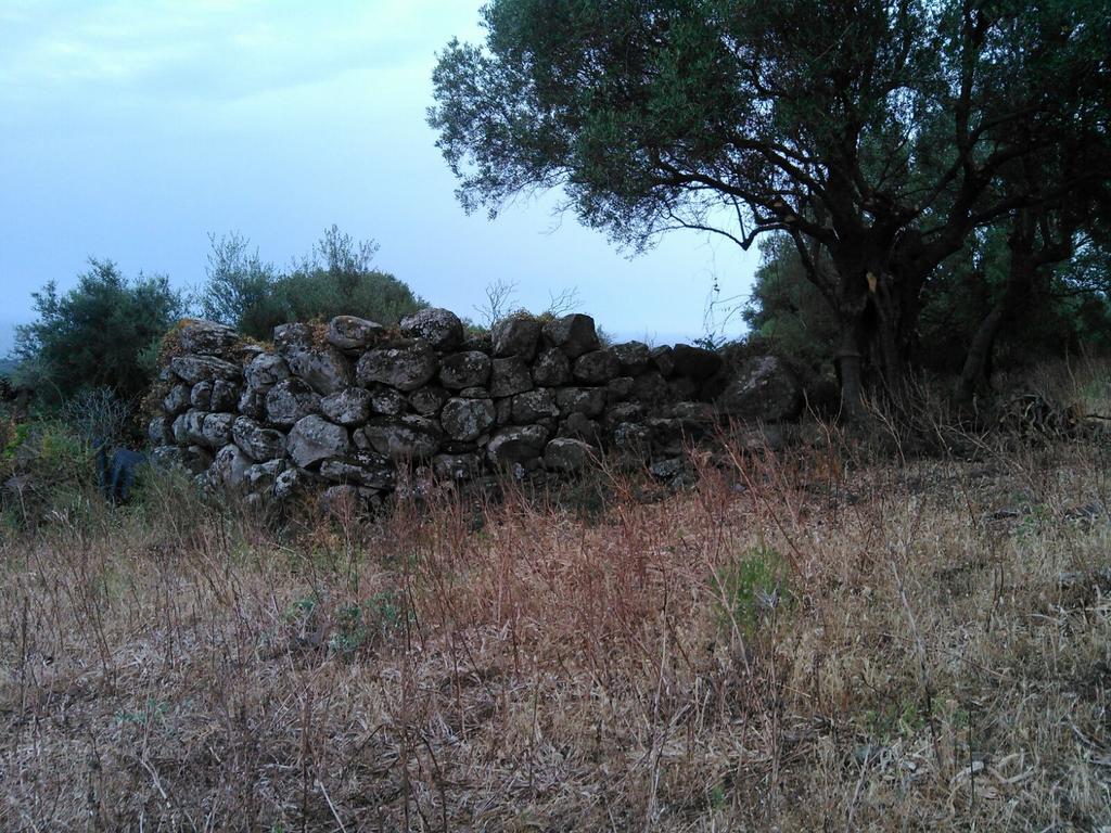 הוילה אורוסיי Vistamare מראה חיצוני תמונה